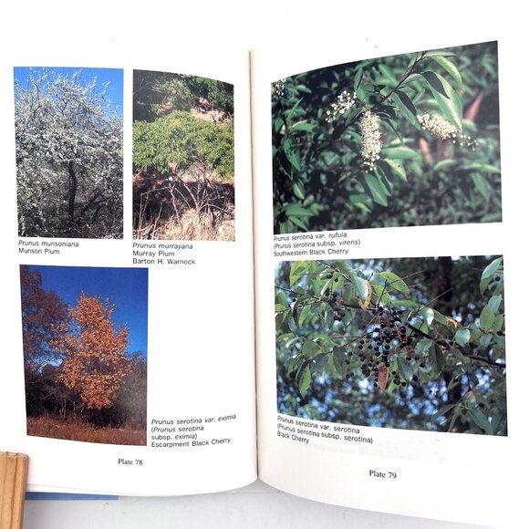 A Field Guide To Texas Trees By Benny J. Simpson Hardcover 1988 Signed by Author - Picture 13 of 16